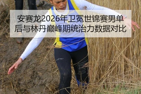 an-sai-long-nian-wei-mian-shi-jin-sai-nan-dan-hou-yu-lin-dan-dian-feng-qi-tong-zhi-li-shu-ju-dui-bi-2-450.jpg